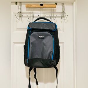 EUC Igloo Insulated Backpack